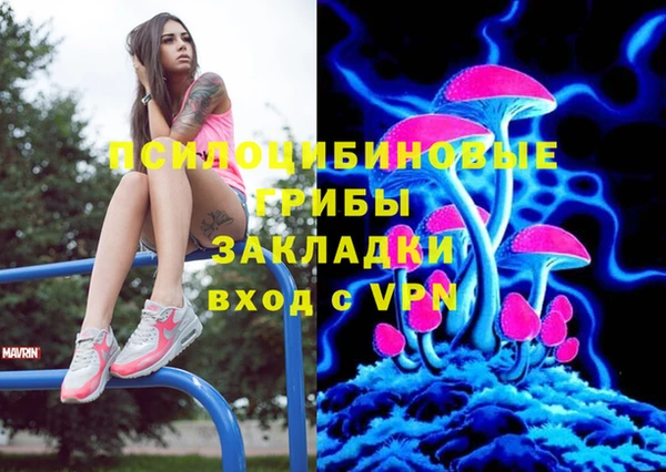 дмт Няндома