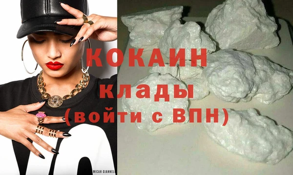 дмт Няндома