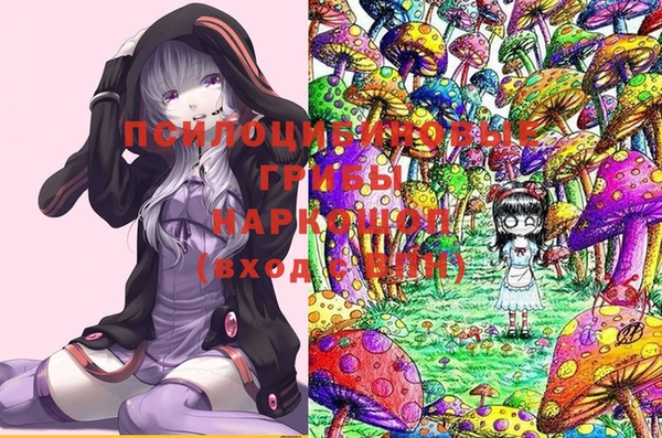 дмт Няндома