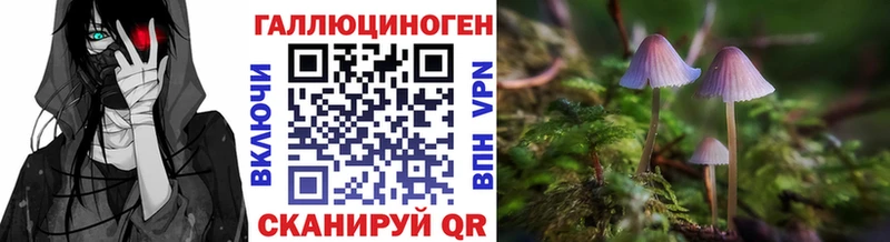 Псилоцибиновые грибы Psilocybe  Хотьково 